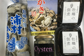 浦村かきの詰め合わせセットB【漣】生食用むき身500g×1本、牡蠣の佃煮×2パック(100g)、牡蠣のグレープシードオイル漬け×1瓶(170g) 三重県産 贈り物 熨斗対応 プレゼント【冬ギフト】
