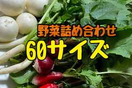 旬の冬野菜の詰め合わせを60サイズで！！