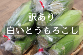 白いとうもろこし《あられやこんコーン》【B品12本】