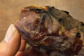 元イタリアンシェフが育てる鳴門金時5kg栽培期間中、農薬、化学肥料不使用【冬ギフト】