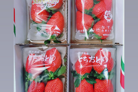 とちぎの完熟いちご３種の食べ比べセット
(とちあいか・スカイベリー・とちおとめ)
【いちご食べ比べ】