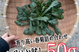 新鮮な3種類の春菊を食べ比べ80g