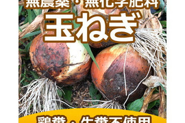 【除草剤・農薬・化学肥料不使用】野菜嫌いな子供をキラキラ笑顔にさせる♪生でかじれる安心玉ねぎ（10kg）【健康サポート専門店農園】
