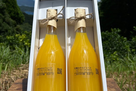 【冬ギフト】無添加甘夏ジュース果汁100% 2本（1本720ml）