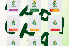 ＼PAPA CHA 9種お試しティーセット／青パパイヤの酵素茶 × ブレンド茶 飲み比べ