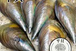 日間賀島産❗️《貝が旬》
（旨味抜群）『平貝‼︎』3枚下処理をして、貝柱、紐、玉を分けて真空で送ります！
《今が旬の高級貝を破格で》