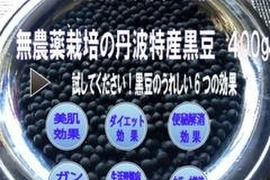 丹波黒豆300g　2025年手摘み莢出し 黒豆 農薬不使用　丹波篠山産