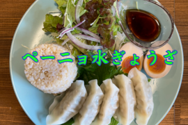 【旨辛】放牧鶏とハラペーニョの「塩ぺーニョぎょうざ」25個入（冷凍）