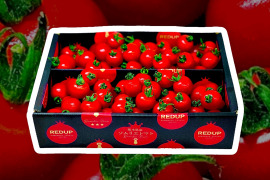 予約1２月中旬から順次発送【特別栽培農産物の取得】ソムリエミニトマト　プラチナ800gとダイヤ800gのセット