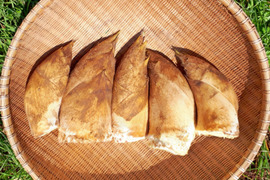 【富山県産】朝採れ！旬の“タケノコ”1.5kg 自然栽培(無農薬・無肥料・除草剤不使用) 筍 クール便