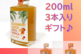 【冬ギフト】新商品✨陽光の輝き　自然派リキュール🍹ゴールデンベリーリキュール「AUREA TROPICA」200ml×３本入りギフト🎁
