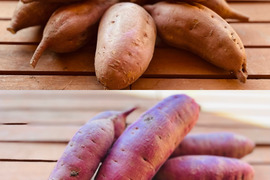 【食べ比べセット】安納蜜芋＆紅はるか併せて5キロのセット
