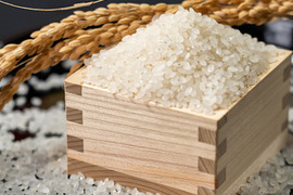 定期便3kg 極のササニシキ 新米 令和7年