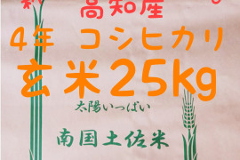 令和4年産 高知県産 新米コシヒカリ 玄米25㎏(袋込み)