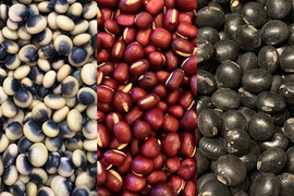 ３種食べ比べ🫘小豆250g＋黒豆250g＋くらかけ豆250g＝計750g★北海道産★農薬化学肥料･除草剤不使用🫘☺️メール便📨