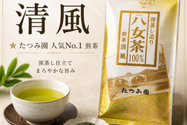 【予約】当店人気 八女茶100g×5本セット（同一茶葉）