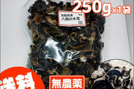 ＜乾燥250g＞栄養たっぷり！食感たのしい【国産】きくらげ