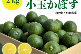 小さくて使いやすい！種無し小玉かぼす2kg（約40～60個）