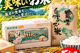 新米 白米 5kg 無洗米 くまさんの輝き 令和8年度産　熊本県産 hiroファーム 食べチョクアワード受賞