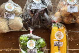 濃甘！野菜セット3種類×2倍量 農薬・化学肥料不使用♪個包装