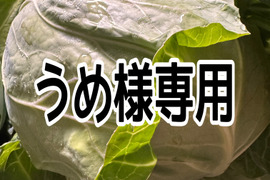【⠀うめ様専用   】甘みたっぷり兵庫県産新鮮野菜キャベツをお届け(3玉入)