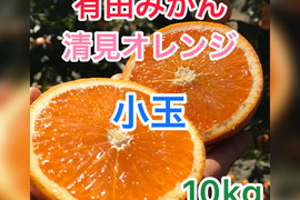 果汁たっぷり清見オレンジ　小玉　10kg