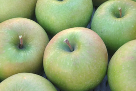 アップルパイにはこのりんご！グラニースミス　約2.7kg