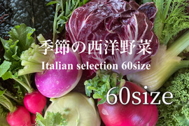 お料理の幅が広がる！ 季節の西洋野菜 Italian selection 60サイズ