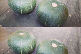 ★北海道★化学農薬不使用かぼちゃ、ほろほろ4個セット、北海道産かぼちゃ