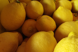 瀬戸田産レモン（5キロ）