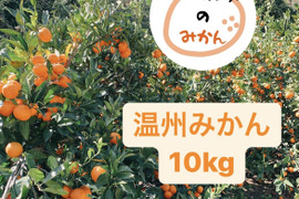 温州みかん 10kg 家庭用