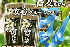 【冬ギフト】有機畑で育てたそばを原料とした十割そば 石臼挽き粉使用4パック