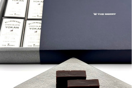 濃厚チョコ×ブルーベリー羊羹（ようかん）｜10個入り　ギフト箱