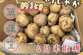 じゃがいも【男爵】3kg