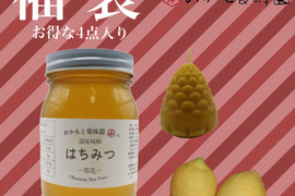 【福袋】非加熱非加温！国産純粋百花蜂蜜600g含む4点セット
