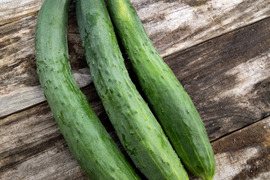 【自然栽培】固定種 ときわ地這胡瓜 2kg★農薬・肥料不使用｜きゅうり｜キュウリ