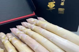 【春限定】陸奥産の竜髭菜ホワイトアスパラ