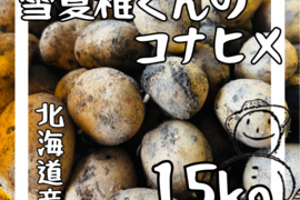 ［1月限定価格］《ホクホクMAX！！！》愛され食され40年『雪夏稚くん』のコナヒメver. 15kg（変更後）