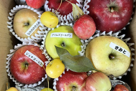 りんご いろいろBOX （2㎏）