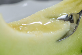 \\先行予約受付//【最高金賞 受賞】極上メロン 渥美の陽光-HIKARI-(１玉入)