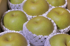 【贈答用】長野県産 幸水梨 3kg（6〜9玉）