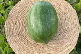 シャキシャキ❗️沖縄産パパイヤ1個!
