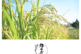 有機の本場、熱塩加納地区で栽培された有機栽培米(コシヒカリ)３㎏