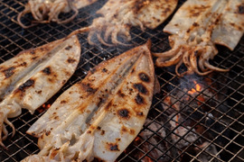 ぷりぷり★ヤリイカ一夜干し【中サイズ】