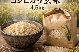 栽培期間中農薬不使用!! 京丹後産『ササニシキ』玄米4.5kg