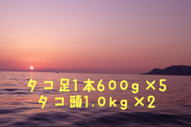 北海道小樽産 茹でタコ足1本600g×5　タコ頭1.0kg×2