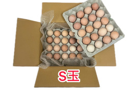 コスパ最強S玉🏆平飼い名古屋コーチン【王様のたまご】40個（36個+破卵補償分4個含む）