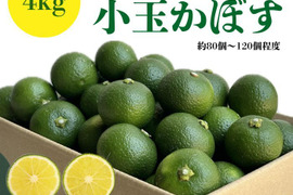 【ご予約品】 かぼすの通販｜果物｜食べチョク｜産地直送(産直)お取り寄せ通販 果物