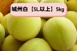＊予約販売【青梅】京都青谷産「城州白」大粒(5kg, 5L以上)　香りの良さが光る青梅