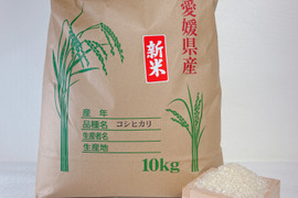 【令和６年度産】新米 コシヒカリ １０㎏ ＊特別栽培米＊